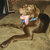 Profile Picture of Greg Carpenter (@gregcarpenter9842) on Youtube