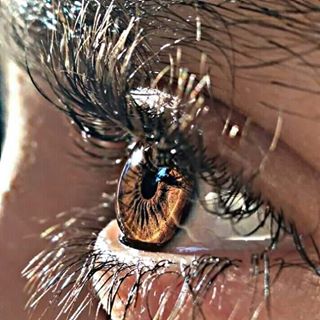 Profile Picture of Ava Megan (@drake.iverson.9404) on Facebook