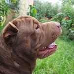 Profile Picture of Neilsen (@neilsen29bnpeck) on Instagram