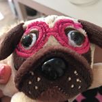 Profile Picture of Katelyn Page (@kittykat21214) on Instagram