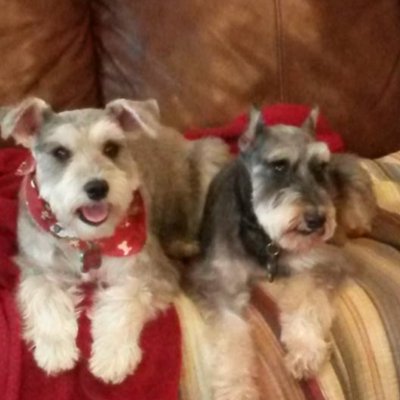 Profile Picture of Pamela Jeter-Denker (@PAJeterDenker) on Twitter