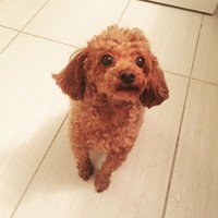 Profile Picture of Aimee Yu (@aimee-yu-10) on Quora