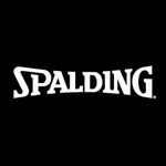 Profile Picture of Spalding Brasil 🏀 (@spaldingbrasil) on Instagram