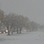 Profile Picture of Robert Derek Groom Fern?ndez (@