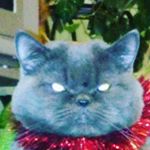 Profile Picture of Alex Kovalskyi (@alex_kovalskyi) on Instagram