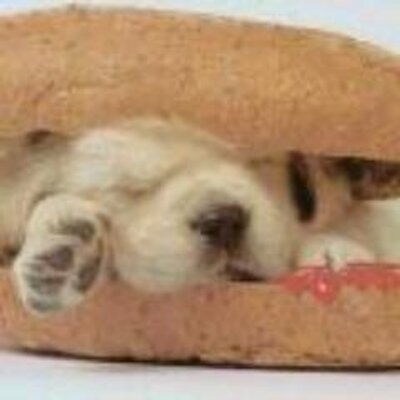 Profile Picture of Chris Wagnon (@artagosu) on Twitter