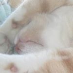 Danny Macintosh - Instagram Profile Picture of Danny Macintosh (@macintoshdanny) on Instagram