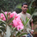 Profile Picture of Chidananda Babu (@babu7236) on Flickr