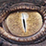 Profile Picture of Bernard Lanati (@bernard lanati) on Flickr