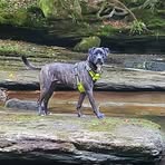 Profile Picture of Janet Shiflett (@janet.shiflett) on Facebook