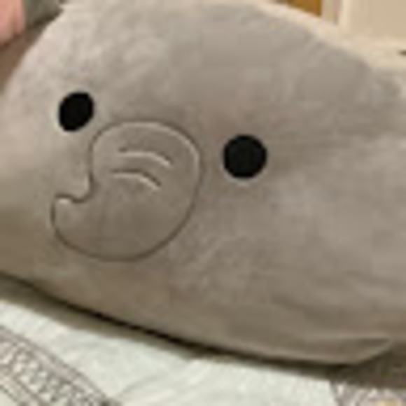 Sophia Becker - Poshmark Profile Picture of Sophia Becker (@sophiabecker211) on Poshmark