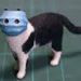 Profile Picture of Melissa Welsch (@melissaw0048) on Pinterest
