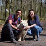 Profile Picture of Thomas Goris (@thomas.goris) on Instagram