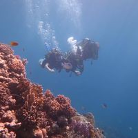 Profile Picture of Steve Griffiths (@steve-griffiths-82) on Quora