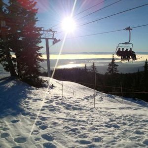 Profile Picture of Steve Timmermans (@stevetimmerman7) on Twitter