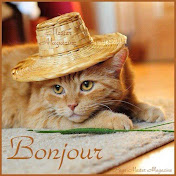 Profile Picture of Mly Slimane Cherif Alaoui (@mlyslimanecherifalaoui230) on Youtube