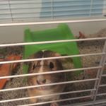 Profile Picture of Timothy Cochran (@timmy_turner_spamz) on Instagram