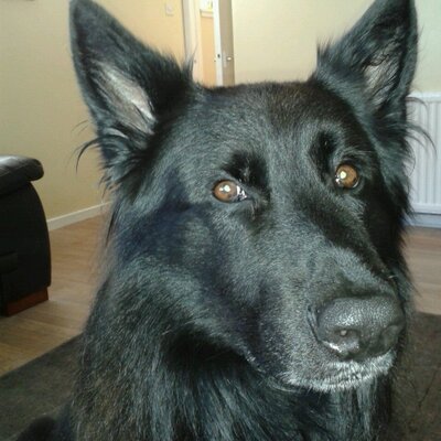 Profile Picture of Cathy McDougall (@mcdouca707) on Twitter