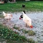 Profile Picture of Jonathan Doyle (@jonathan.doyle.98478) on Instagram