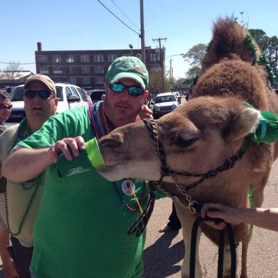 Jason Bergum - Twitter Profile Picture of Jason Bergum (@jasonbergum1) on Twitter