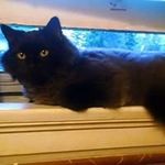 Profile Picture of Rae Lynn Vance Kirby (@raelynnvance) on Instagram