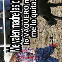 Profile Picture of Rigoberto Carranza (@Rigober42391649) on Twitter