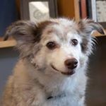 Ian Castañeda - Instagram Profile Picture of Ian Castañeda (@xcastaianx) on Instagram