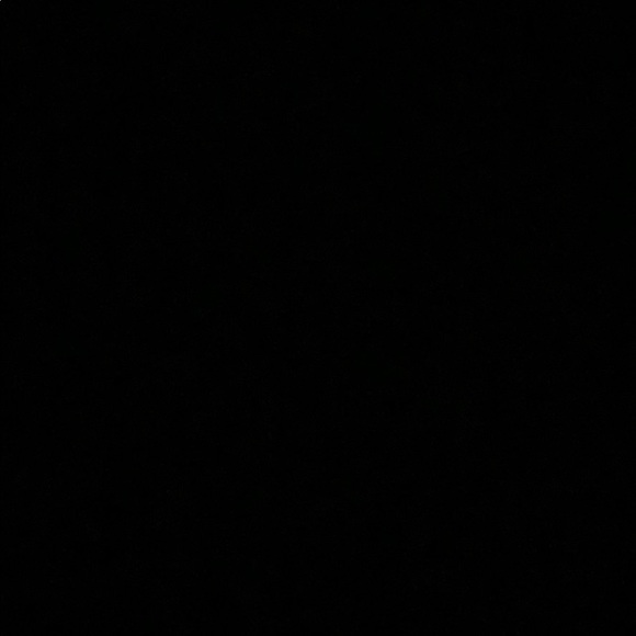 Profile Picture of Laura Solomon (@lsolo444) on Poshmark