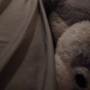 Profile Picture of Andrew Schneider (@andrewschneider5710) on Youtube