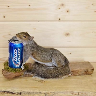 Profile Picture of Joe Kerley (@jkerley) on Twitter