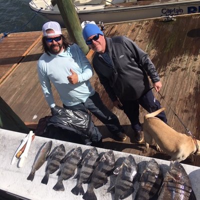 Profile Picture of Captain Rad Brad (@BradJureka) on Twitter