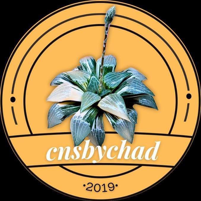 Profile Picture of CnSbyChad (@cnsbychad) on Tiktok