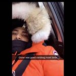 Profile Picture of Nieuw Acc🤹🏽‍♂️ (@steven0282__) on Instagram