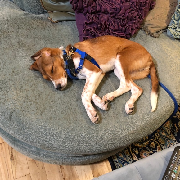 Profile Picture of Sam Rosenberg (@sjr258) on Poshmark