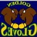 Profile Picture of Buffalo Golden Gloves (@BuffaloGoldenGloves) on Facebook
