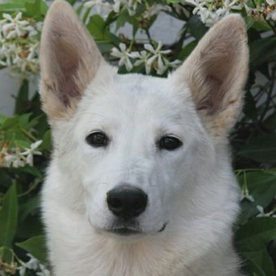 Profile Picture of Jacob Landrum (@JacobLandrum15) on Twitter