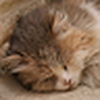 Profile Picture of globalpix (@globalpix) on Flickr