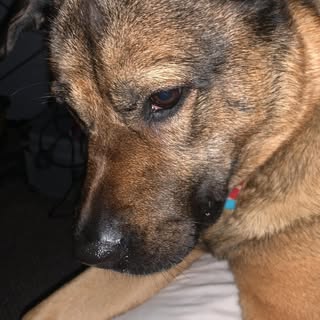 Nikki Mccann - Instagram Profile Picture of Nikki Mccann (@nicky_mccann) on Instagram