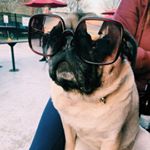 Profile Picture of Walter Reid (@walter_melons_world) on Instagram