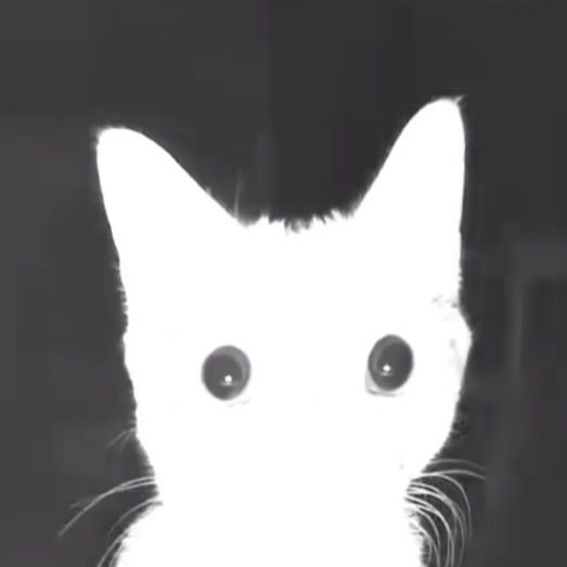 Profile Picture of Marley😶 (@marleyhanson) on Tiktok