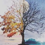 Profile Picture of wiliam (@william_regon) on Instagram