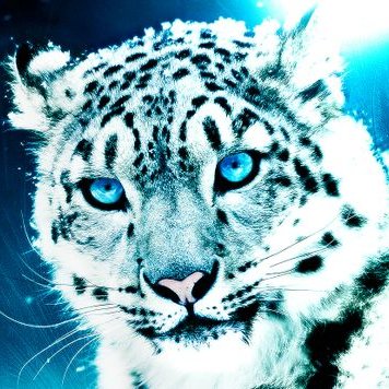 Profile Picture of David Reetz (@ReetzDavid) on Twitter