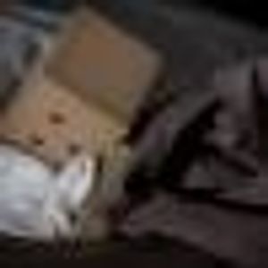 Profile Picture of Loai Ahmed (@210947260) on Myspace