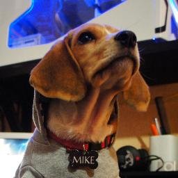 Profile Picture of BEAGLE.MIKE (@tvphotog17) on Twitter