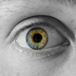 Profile Picture of Augustin Duthoit (@augustinphotographie) on Flickr