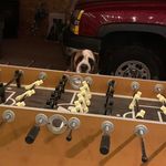 Bill Berhost - Instagram Profile Picture of Bill Berhost (@wberhost) on Instagram