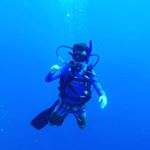 Profile Picture of Owen Dillo™ (@owendillo) on Instagram