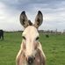 Profile Picture of Keith Hayles (@keith.hayles.733) on Facebook