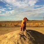 Profile Picture of Robert Vorzimer (@robertvorzimer) on Instagram