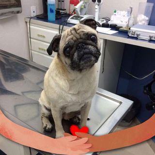 Jorge Puerto - Facebook Profile Picture of Jorge Puerto (@jorge.puerto.7) on Facebook